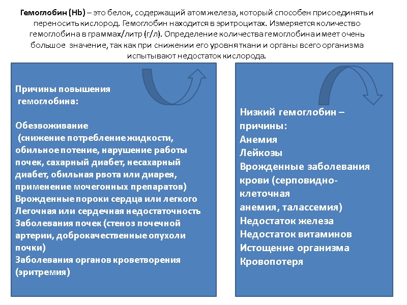Гемоглобин (Hb) – это белок, содержащий атом железа, который способен присоединять и переносить кислород.